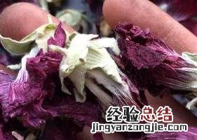 芙蓉花茶的功效与作用及禁忌 芙蓉花茶的功效与作用