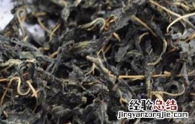 芝麻叶泡水的功效与作用 芝麻叶泡水的功效与作用是什么