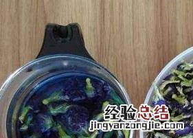 蓝蝴蝶花茶的功效与作用 蓝蝴蝶茶叶的功效与作用