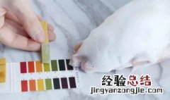 宝宝几岁能用洗面奶 宝宝几岁能用洗面奶洗脸