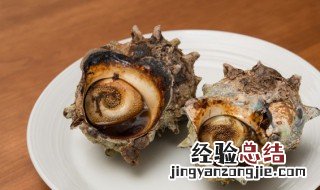 东北辣炒海螺丝的做法 最正宗的辣炒海螺丝