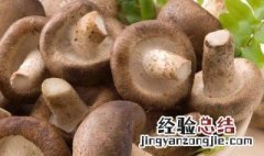 香菇的营养价值 香菇的营养价值及功效与作用禁忌副作用