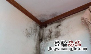 平房潮湿问题怎么处理最好 平房潮湿问题怎么处理