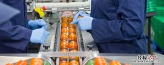 生活中常见的加工食品有哪些 加工食品都有什么