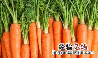 胡萝卜蒸菜的做法 胡萝卜蒸菜怎么做