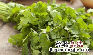 香菜的做法大全 关于香菜的做法大全