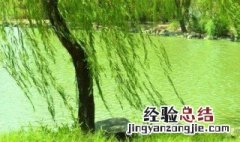 带春的诗句飞花令 带春的诗句有哪些