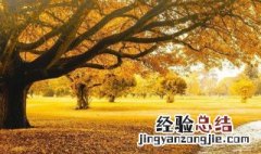 秋已至天渐凉诗句 秋已至天渐凉完整诗句出处