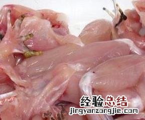 青蛙肉的功效与作用是什么
