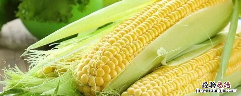 毒死蜱打玉米会烧害玉米吗，主要杀什么害虫