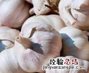 大蒜的功效与作用的做法 大蒜的功效与作用的做法和禁忌