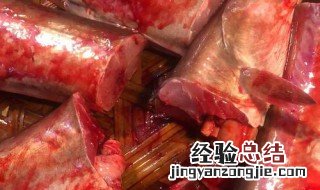 白麻鱼的做法和配方大全 白麻鱼的做法和配方