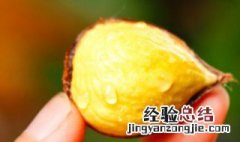板栗的做法大全 板栗的做法