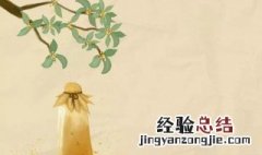 有桂花的诗句 桂花的诗句有哪些