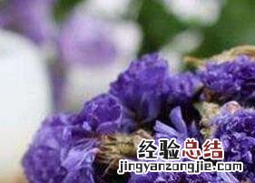 勿忘我花茶的功效与作用 勿忘我花茶的功效和作用