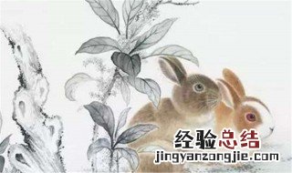 属兔和什么属相最配 这三个生肖最配