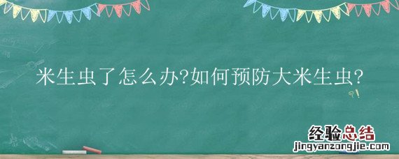 如何预防大米生虫子怎么办 米生虫了怎么办?如何预防大米生虫?
