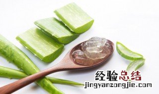 芦荟能直接涂在脸上吗女生 芦荟能直接涂在脸上吗