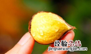 罗田板栗和迁西板栗有什么区别 罗田板栗和迁西板栗哪个好