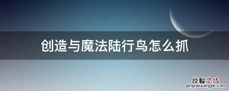 创造与魔法陆行鸟怎么抓 创造与魔法陆行鸟怎么捉