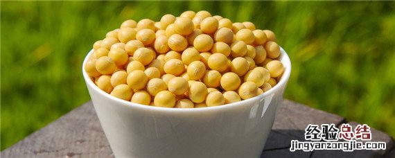 黄豆发酵后属于什么氮肥还是钾肥 黄豆发酵后是磷钾肥吗