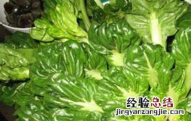 塔菜的营养价值及功效 塔菜的营养价值与食用功效