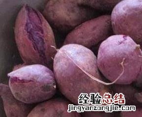 紫薯皮的功效与作用百度百科 紫薯皮的功效与作用