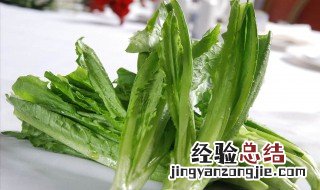 莴笋叶的功效与作用 莴笋叶的功效与作用及禁忌