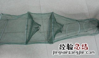 为什么大鱼很少进地笼 地笼越大是不是鱼就越多