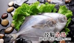 金鲳鱼的营养价值 鲳鱼的营养价值