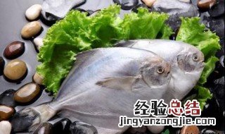 金鲳鱼的营养价值 鲳鱼的营养价值