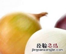 紫圆葱和白圆葱的区别 紫圆葱和白洋葱的区别