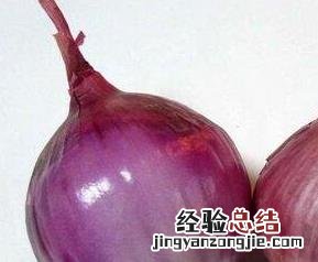 紫色洋葱的功效与作用 生吃紫色洋葱的功效与作用