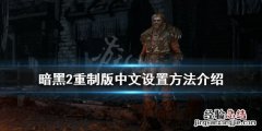暗黑2重制版中文怎么设置英文 暗黑2重制版中文怎么设置