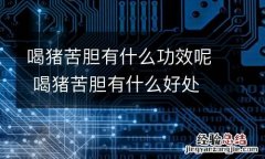 喝猪苦胆有什么功效呢 喝猪苦胆有什么好处
