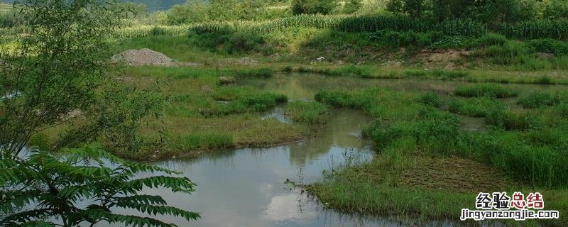 洼地适合种植什么作物，洼地是什么地貌
