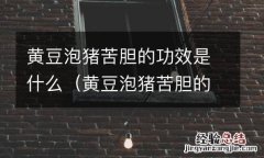 黄豆泡猪苦胆的功效是什么作用 黄豆泡猪苦胆的功效是什么