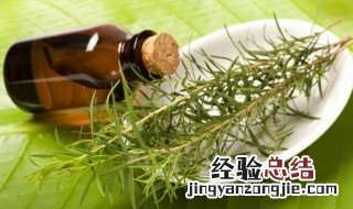 橄榄油可以降血脂吗 橄榄油能降高血脂吗