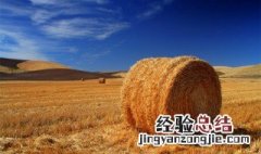 秋天丰收的农作物有什么 秋天农作物成熟很重要的一部分因素是什么