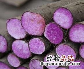 紫山药的功效与作用及禁忌 紫山药的功效与作用及禁忌症