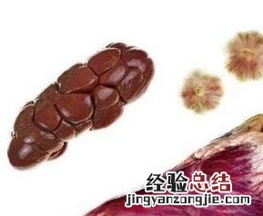 牛心与牛肉哪个营养价值高 牛心和牛肉的营养价值