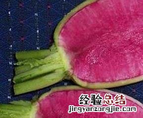 紫心萝卜的功效与作用图片 紫心萝卜的功效与作用