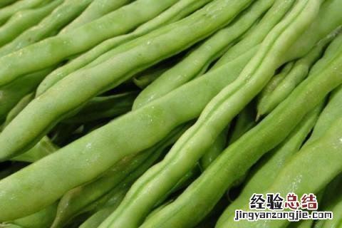 小满种什么农作物 小满的农作物