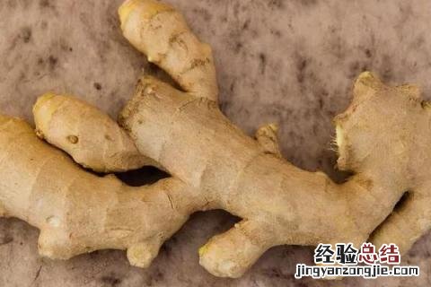 小满种什么农作物 小满的农作物