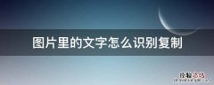 图片里的文字怎么识别复制 图片中的文字复制出来