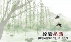 有春字的诗句 带春字的诗句有哪些