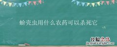 蚧壳虫用什么农药可以杀死它 杀蚧壳虫的农药