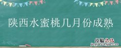 山西运城水蜜桃什么时候成熟 陕西水蜜桃几月份成熟