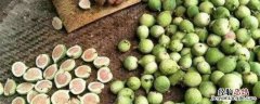 薛荔是无花果吗 薛荔是无花果吗?