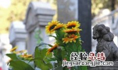 舅父花圈上的挽联怎么写 花圈上的挽联怎么写